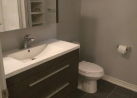 Basement Renovation - (2)